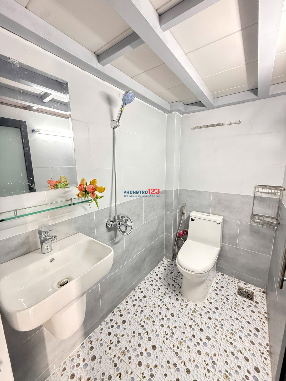 Dự án mới ngay kênh 19/5 Tây Thạnh Tân Phú 