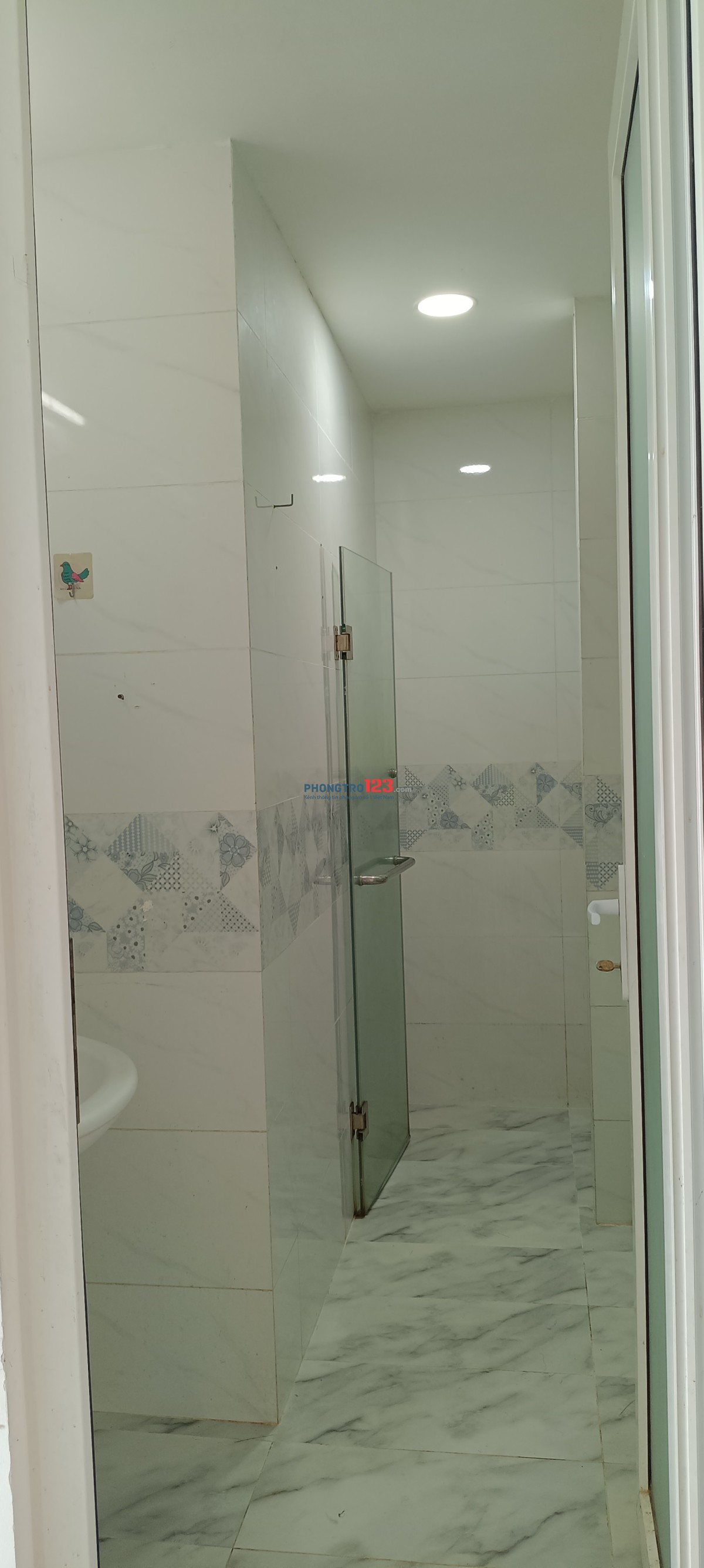 Cc Q8 Giá chỉ 7 triệu. FULL TOÀN BỘ NỘI THẤT