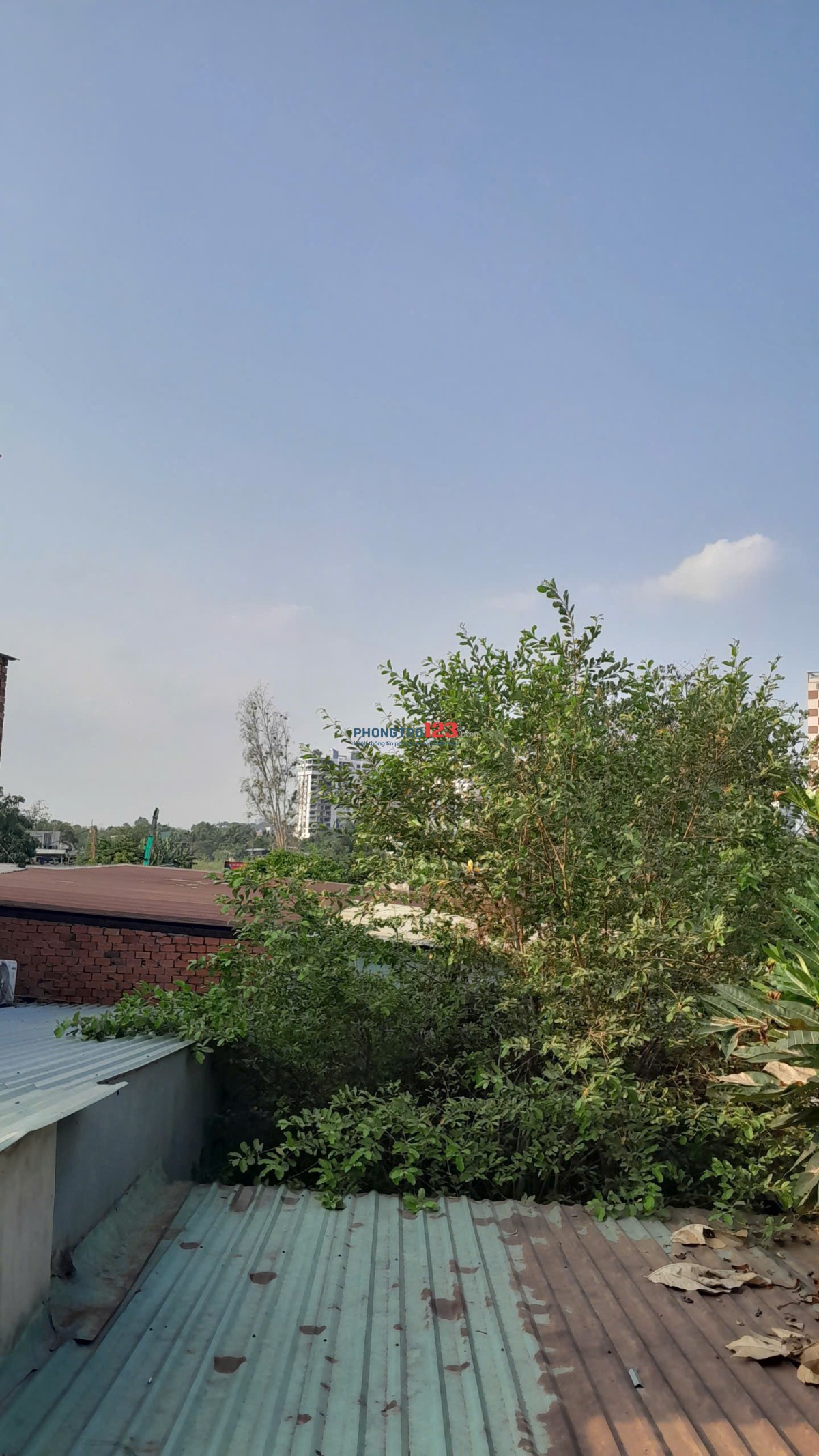 Cho thuê nhà chính chủ ở Thủ Đức