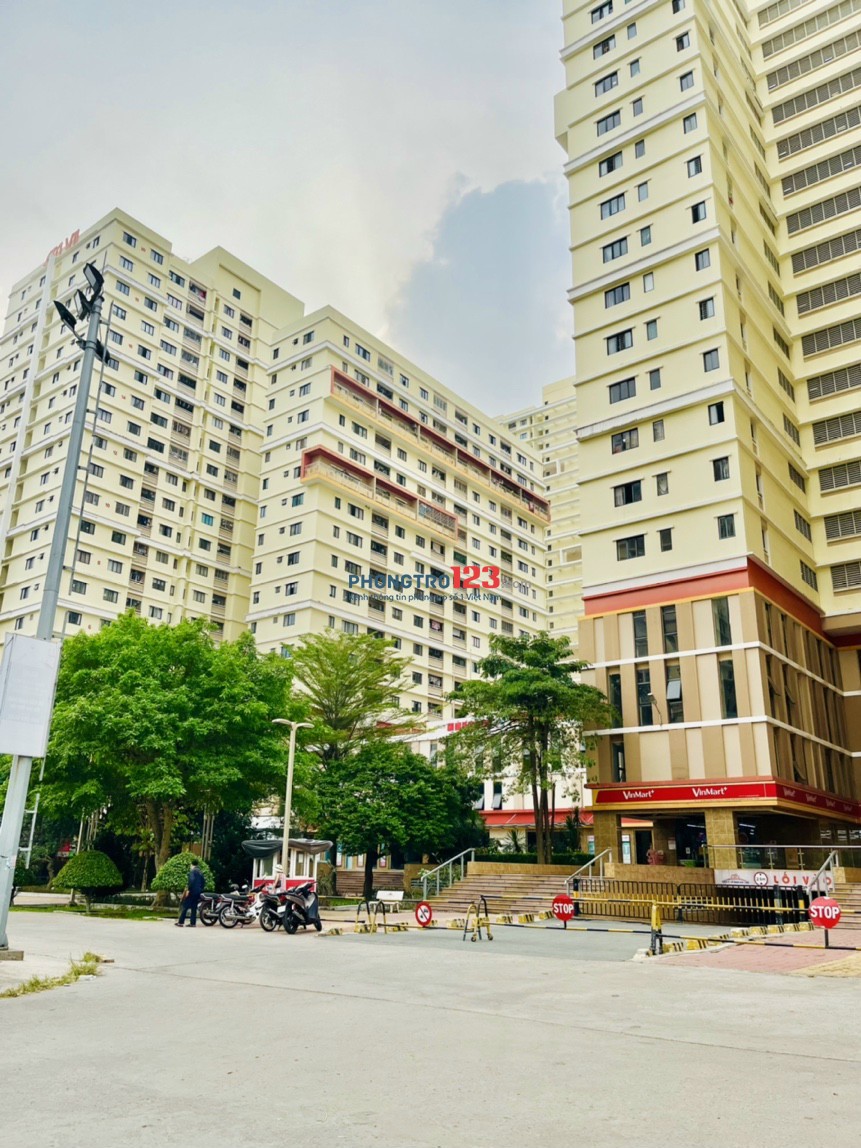 Tìm nữ ở ghép quận 7 full phí full nội thất phòng 4 người