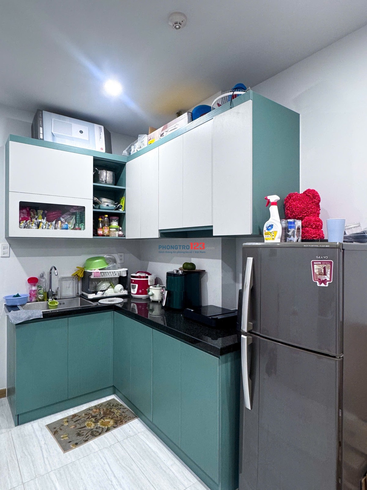 Cần Cho thuê Căn Hộ CC 02N - 02 WC full Nội thất