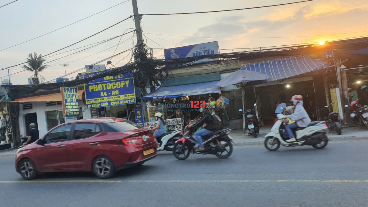 Cho thuê mặt bằng chính chủ diện tích lớn : 300m²