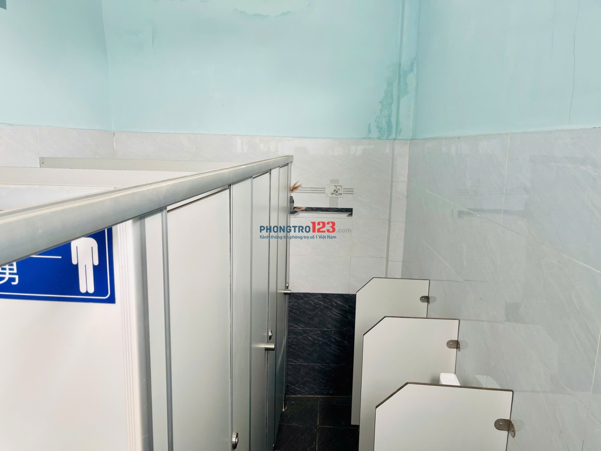 Cho thuê Phòng học cao cấp- An Ninh theo giờ- linh hoạt tại Trung tâm ngoại ngữ Thủ Đức- Đỗ Xuân Hợp