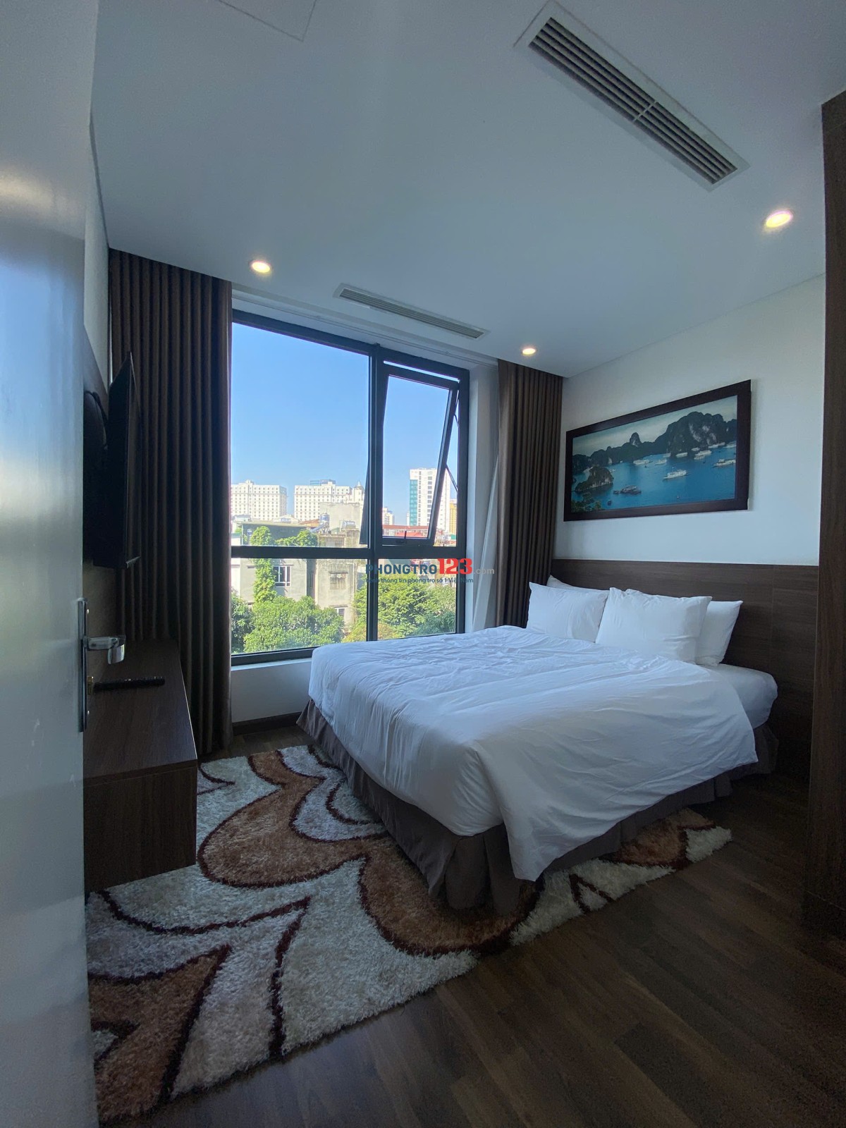 Chính chủ gửi thuê căn hộ chung cư 1N1K và 2N2VS cực đẹp tại Hào Nam