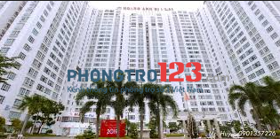 Cho thuê phòng master trong căn hộ CC Hoàng Anh Gold House