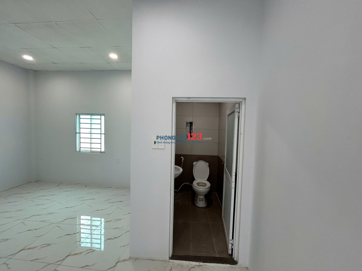 Cho thuê nhà nguyên căn tại hẻm 149 đường Lưu Hữu Phước, phường 15, quận 8, TP. HCM
