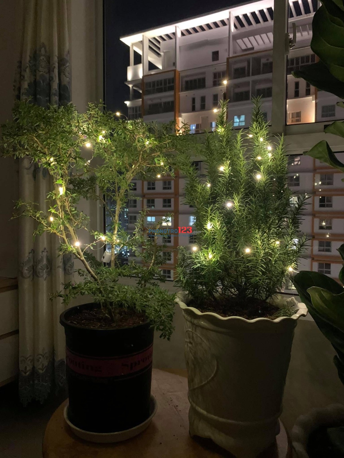 GÓC TÌM BẠN CHUNG NHÀ – CHÍNH CHỦ CHO THUÊ 1 PHÒNG - DRAGON HILL 2 (Quận 7)