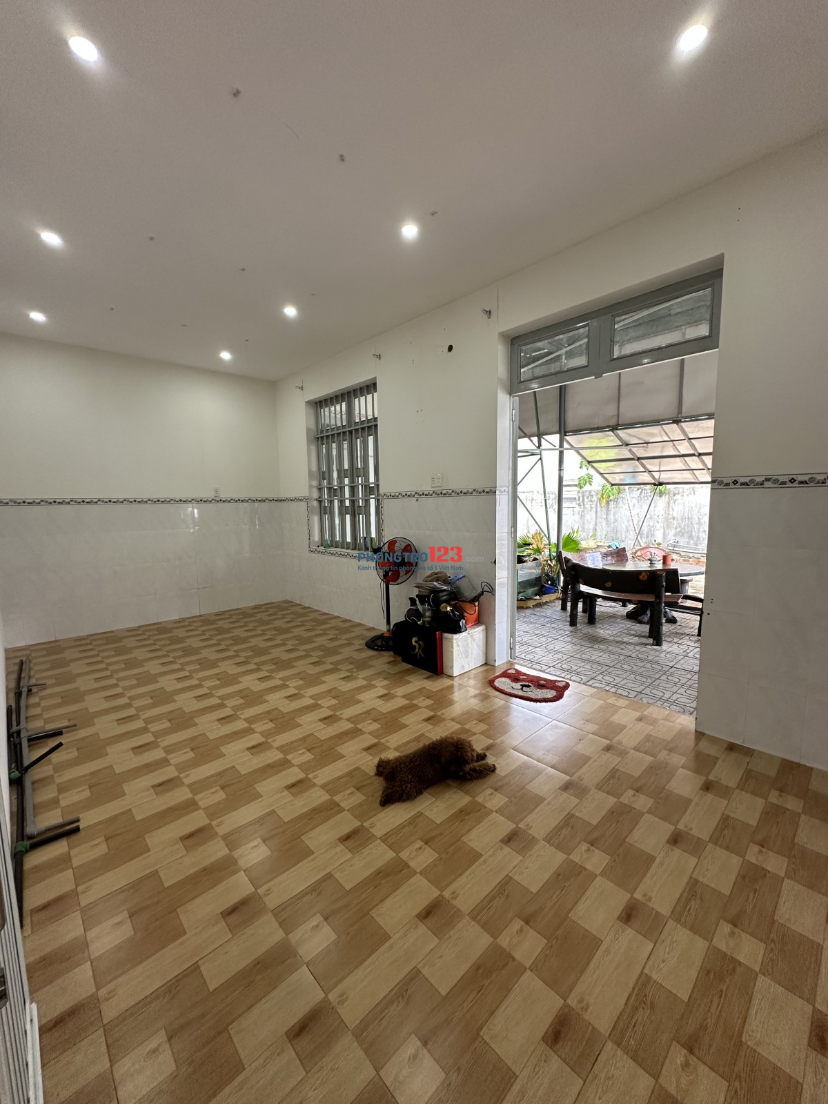 Cho thuê nhà nguyên can, phòng trọ, mặt bằng kinh doanh