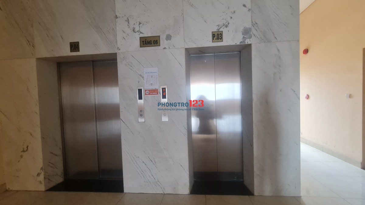 Cho thuê nguyên căn 2 PN 1WC tòa nhà Biwase Tower gần vòng xoay An Phú