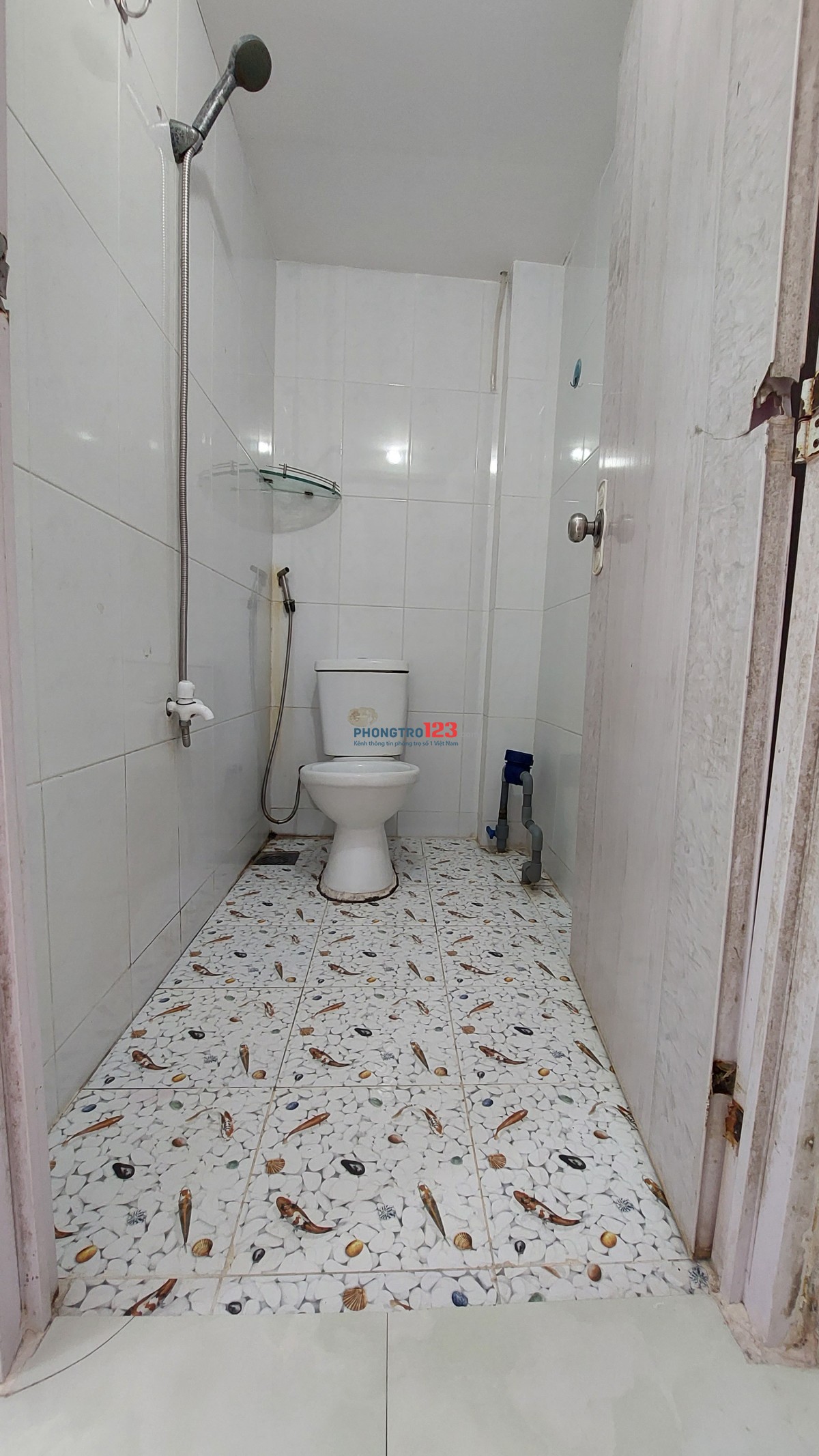 CHO NỮ THUÊ PHÒNG GIÁ RẺ NGAY TÂN SƠN NHÌ - TRƯỜNG CHINH - GẦN NGÃ BA LÊ TRỌNG TẤN - TÂN KỲ TÂN QUÝ