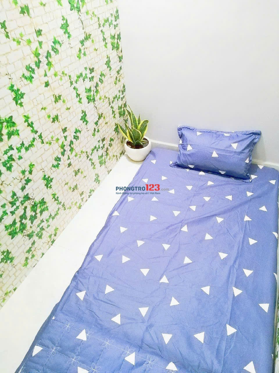 Phòng Mini Giá Rẻ 1.45 Triệu Thoại Ngọc Hầu, Tân Phú - Ký Túc Xá Sinh Viên Có Máy Lạnh