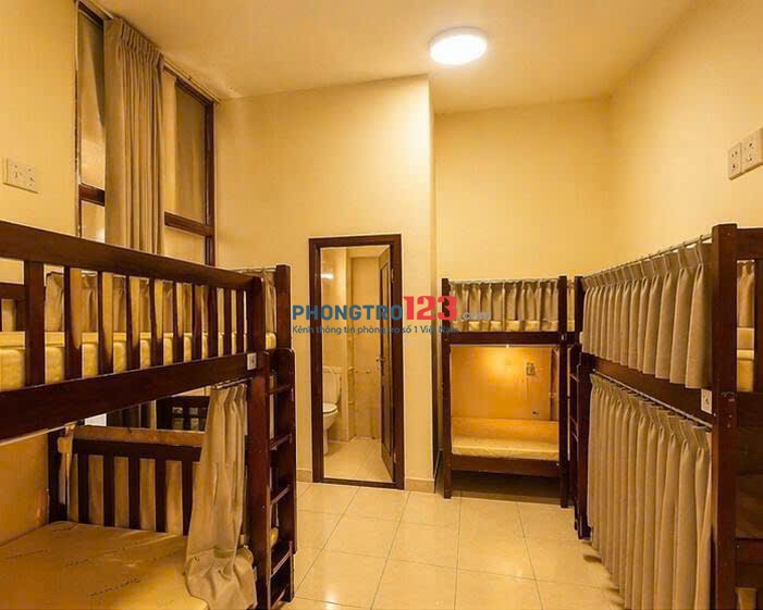 Giường KTX/Mini Duplex Giá Chỉ 1,5 Triệu - 2,3 Triệu/Tháng Tại Chung Cư Conic Đông Nam Á