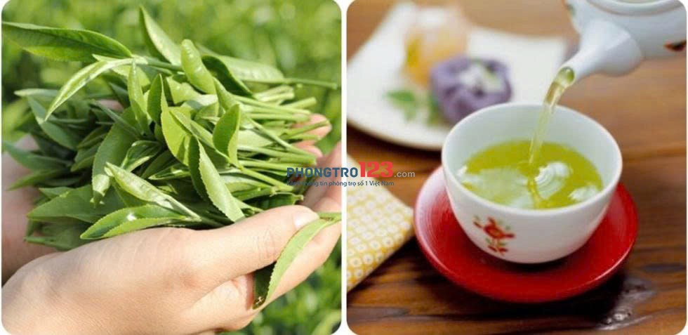 HOMESTAY MÙA THU HÀ NỘI – CHO THUÊ PHÒNG TẠI TRƯỜNG CHINH GẦN NGÃ TƯ SỞ & TÔN THẤT TÙNG