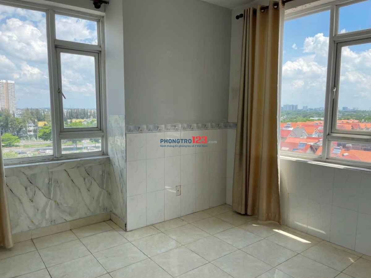 Cần Cho thuê Căn hộ Hồng Lĩnh Plaza H.Bình Chánh, Dt : 85m2, 2PN, 2WC, Giá : 8.5 tr/th,