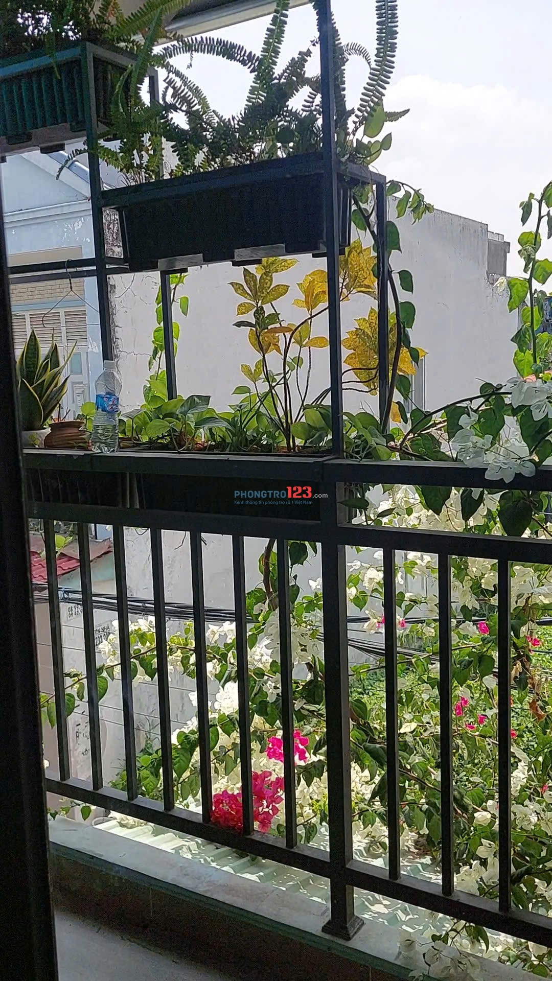 KTX & Duplex Sóc Nhỏ Gần Vạn Phúc City – Thủ Đức – Chỉ Từ 1.600.000đ/Tháng