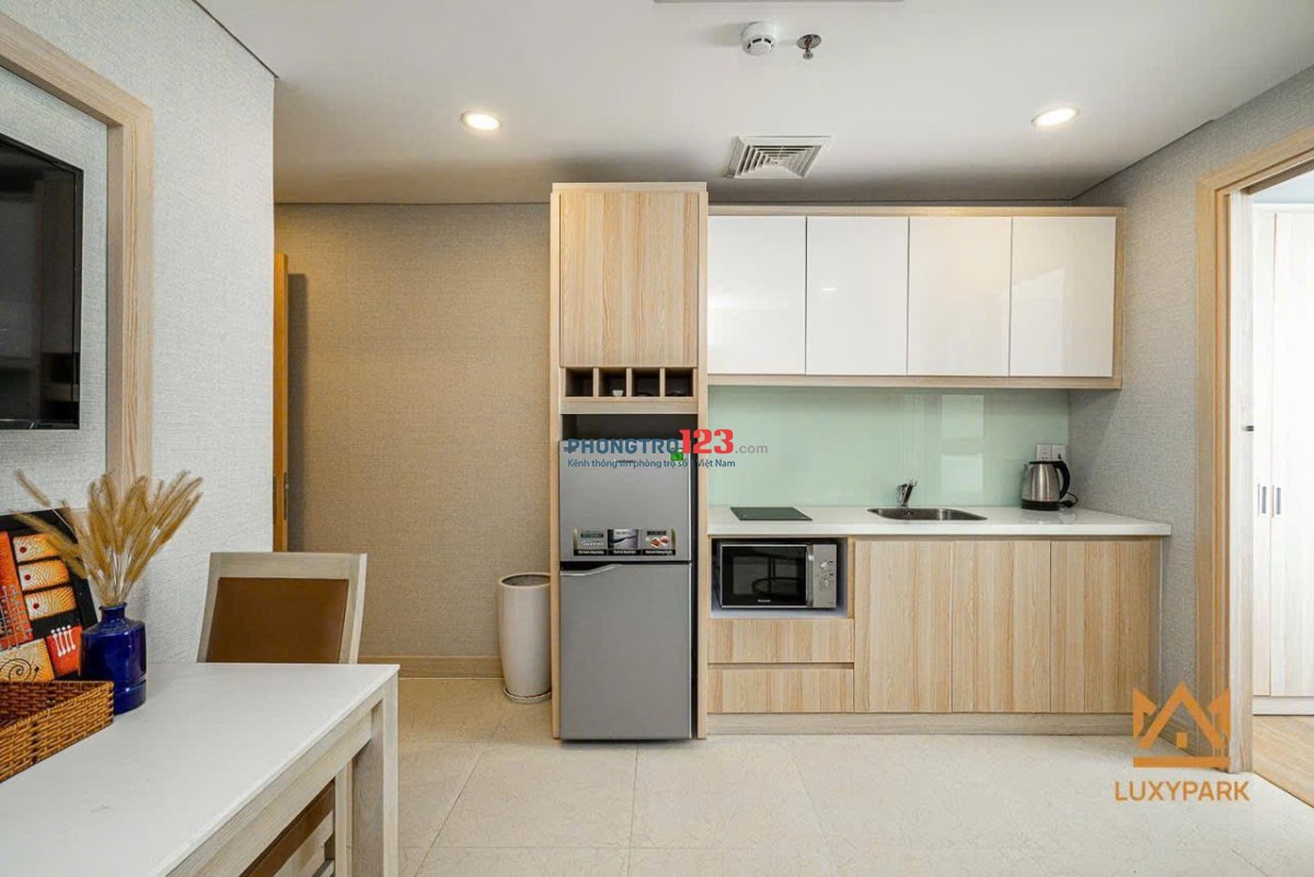 Cho thuê căn hộ 1PN Trần Hưng Đạo Quận 5