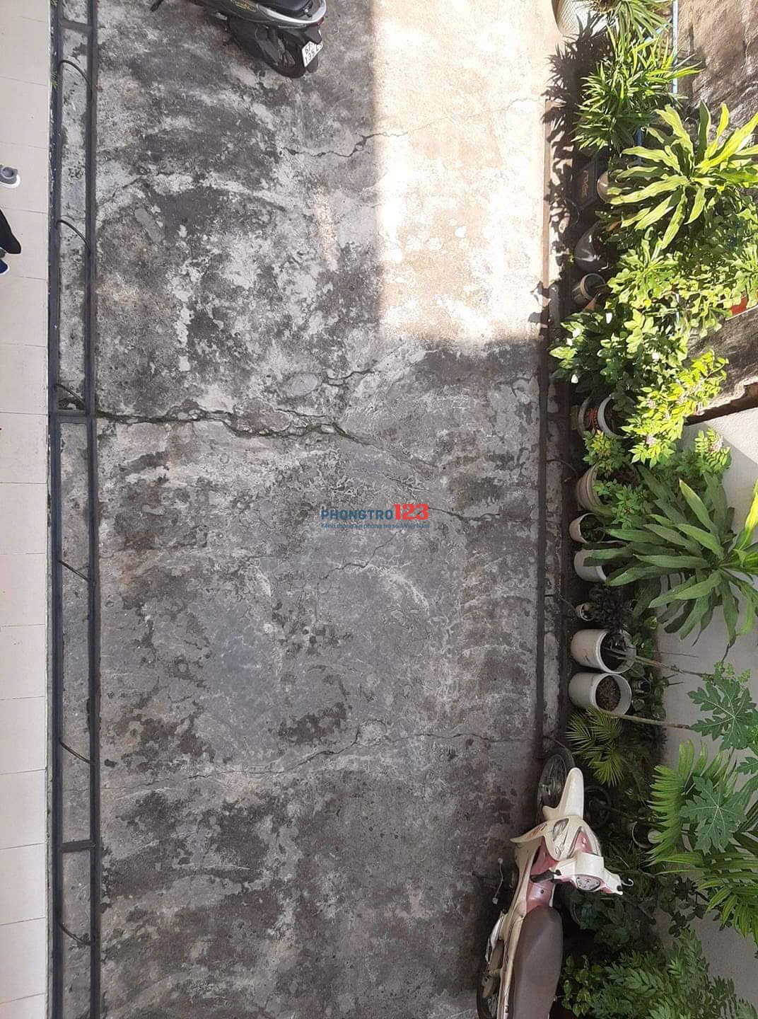 Tìm một nữ ở ghép phòng Bình Thạnh gần Thảo Cầm Viên