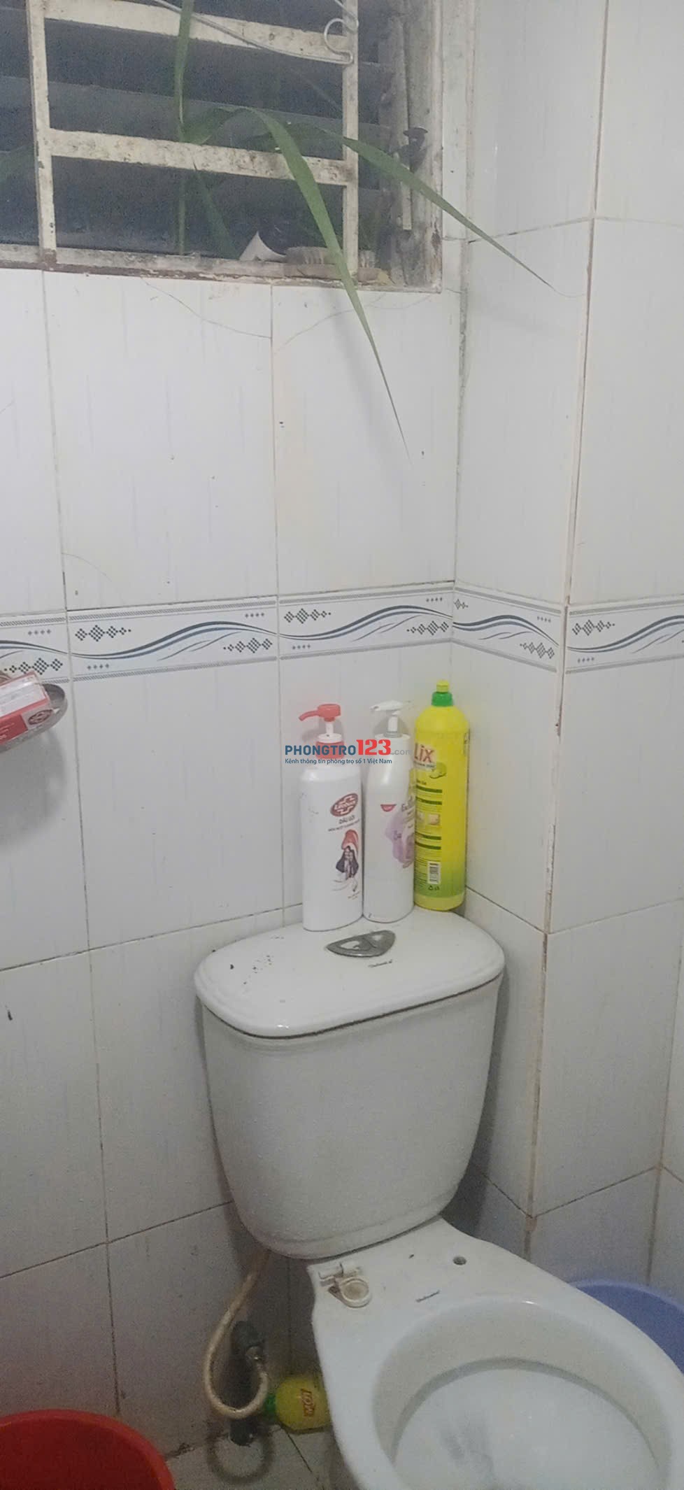 PHÒNG TRỌ CHO THUÊ GIÁ BÌNH DÂN LẦU 1