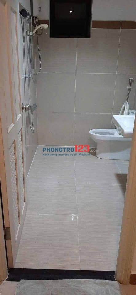 The Useful Lạc Long Quân-P.Tân Hòa (P9.TB cũ) căn 2p ngủ giá 9tr/tháng