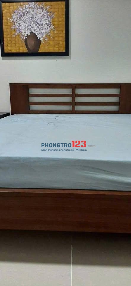 The Useful Lạc Long Quân-P.Tân Hòa (P9.TB cũ) căn 2p ngủ giá 9tr/tháng