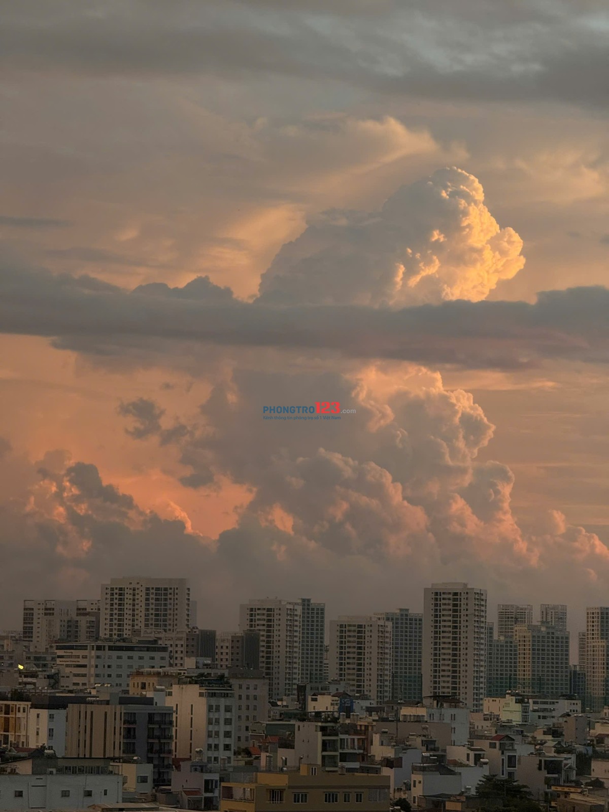  CHO THUÊ PHÒNG XỊN – CHUNG CƯ CAO CẤP ECOGREEN QUẬN 7View triệu đô – Đủ nội thất – Ở êm như nhà