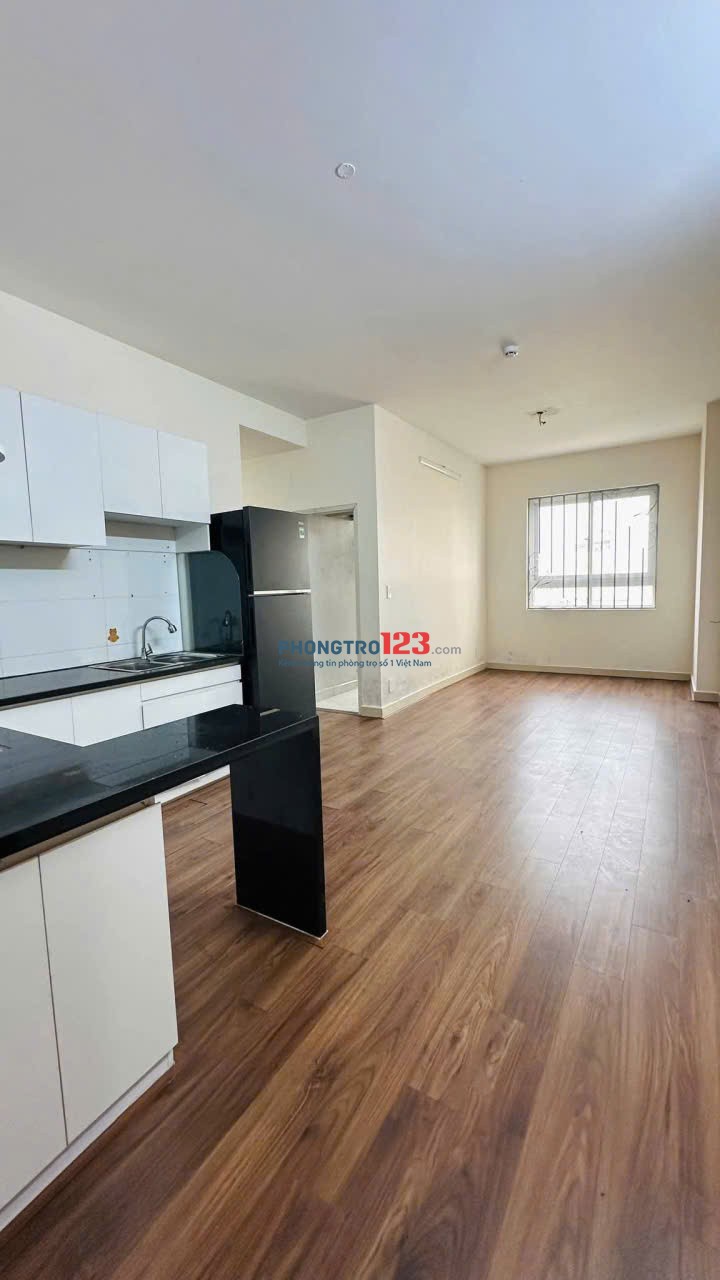 Cho thuê chung cư The Useful Apartment Lạc Long Quân, Tân Hoà,2PN giá 9tr/tháng