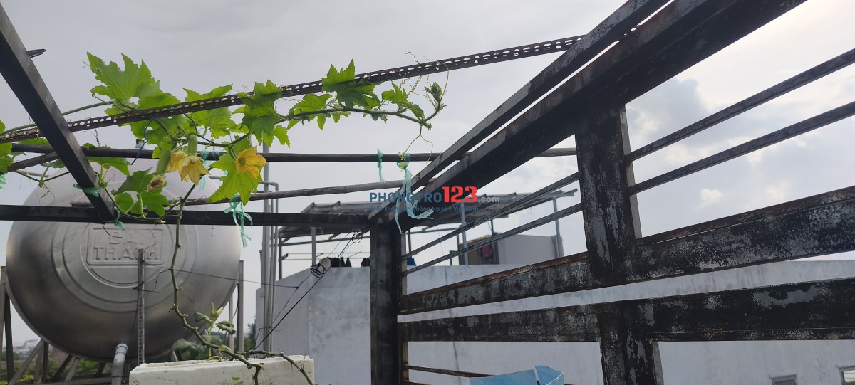 Phòng trọ dành cho sinh viên và nhân viên văn phòng - gần chợ đầu mối, trường học trạm xe buýt