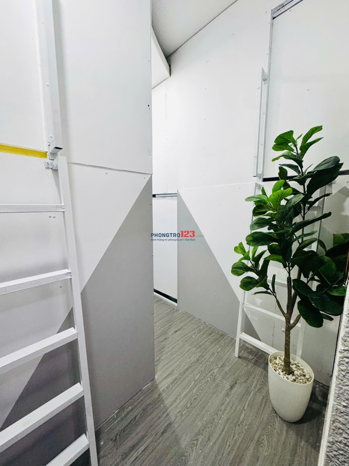 Ký Túc Xá Nguyễn Trọng Tuyển, Quận Tân Bình Chỉ Từ 1.8 Triệu/Tháng Trọn Gói