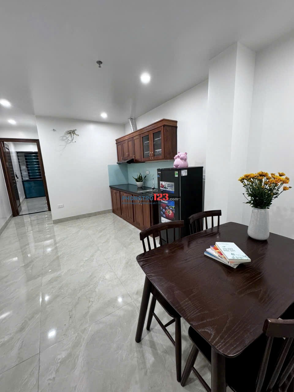Chính chủ cho thuê CHDV 1N1K tại ngõ 110 Trần Duy Hưng - 7tr8 có fix
