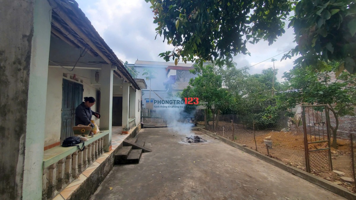 Cho thuê nhà cấp 4, có sân vườn, nhà kho, khu chăn nuôi