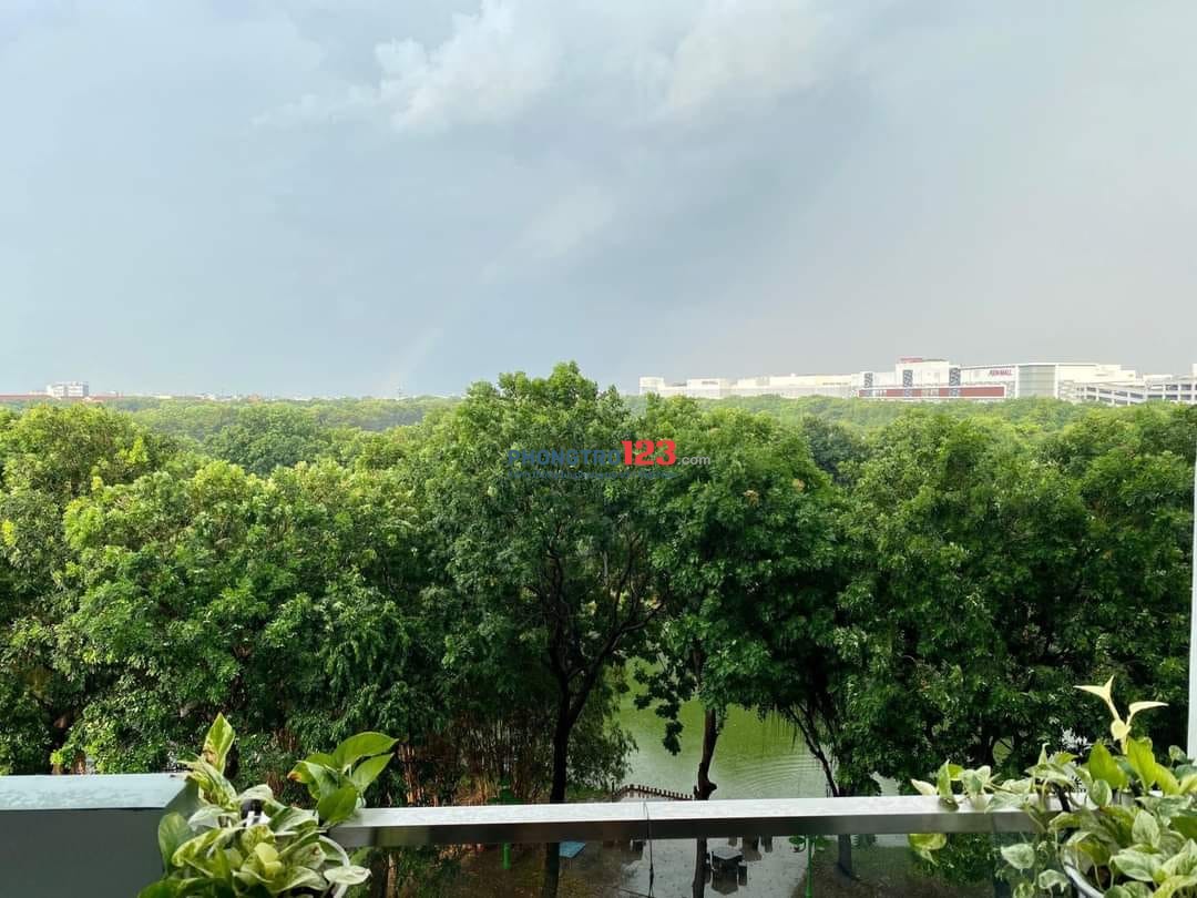 Cho thuê căn hộ 3PN Celadon City giá chỉ 12 triệu/tháng
