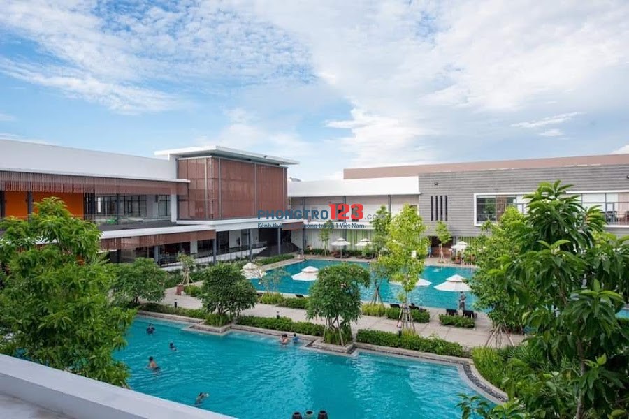 Cho thuê căn hộ 3PN Celadon City giá chỉ 12 triệu/tháng