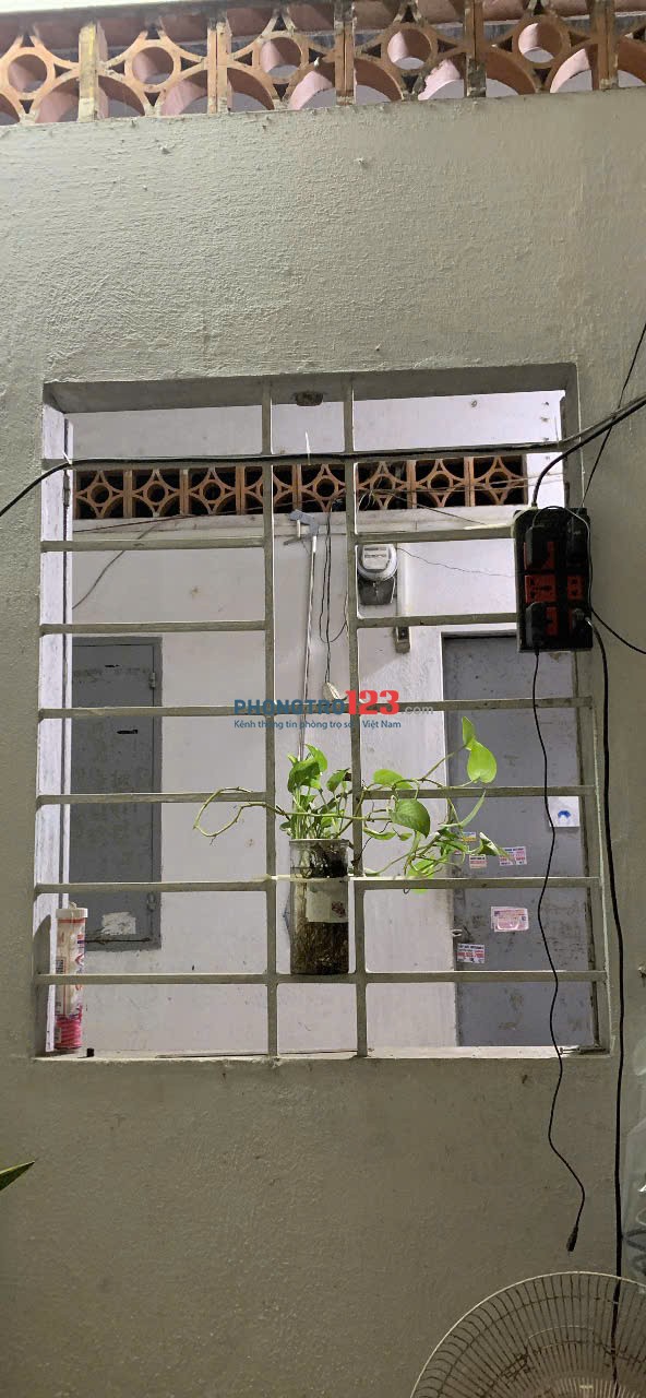 Phòng trọ thoáng mát nhiều cây xanh, yên tĩnh
