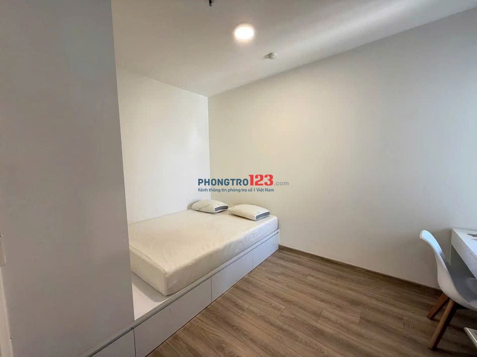 Cho thuê chung cư Tân Phước Plaza, Lý Nam Đế - 3PN giá 15tr/tháng
