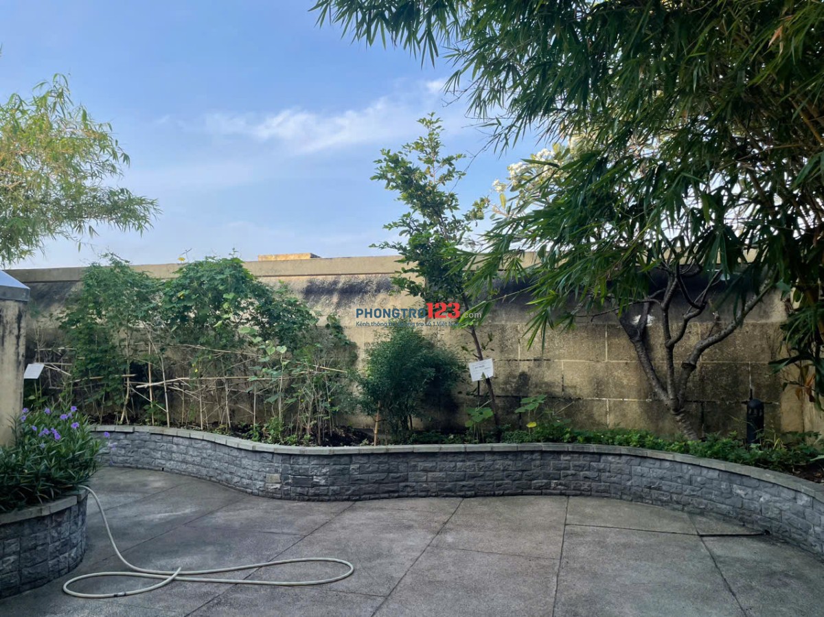 Share phòng trong căn hộ chung cư 150 m2 ở Bình Tân, gần Đầm Sen