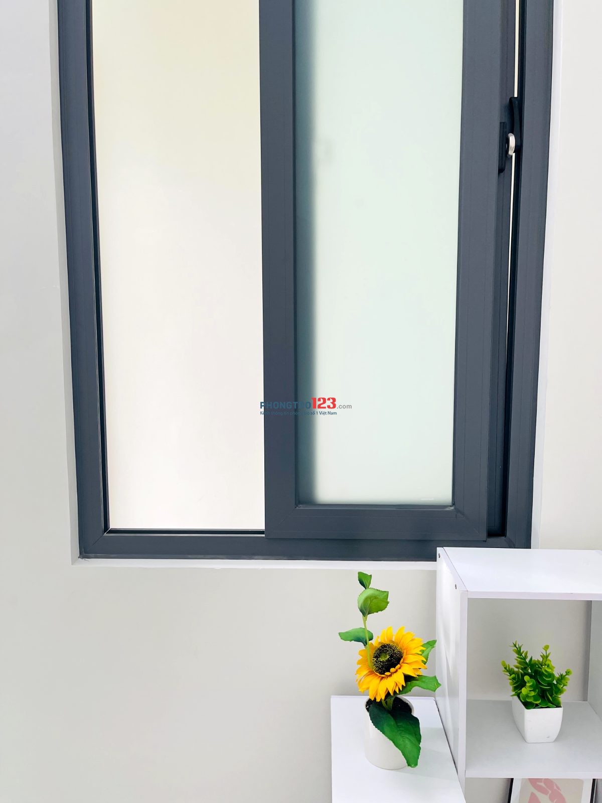 Phòng trọ Studio - Nội thất cơ bản
