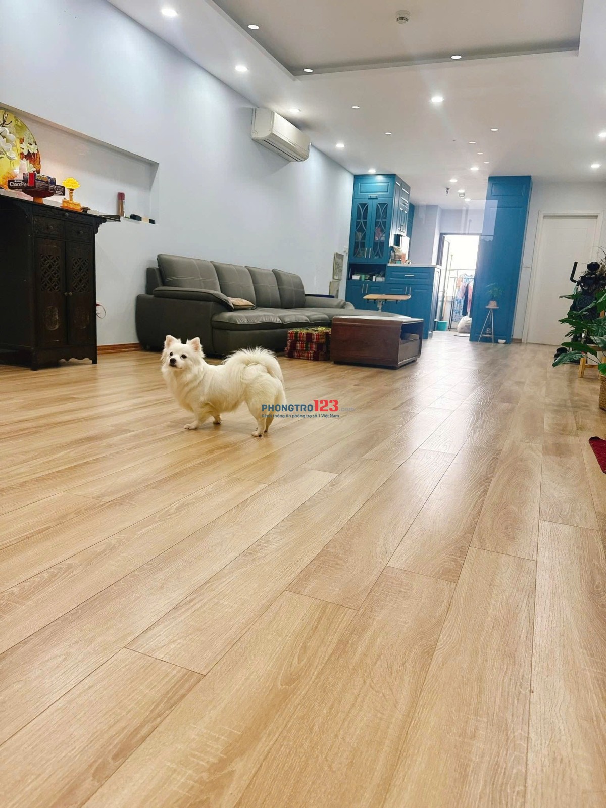Cho thuê chung cư cao cấp Prince Residence, Phú Nhuận - 100m2, 3PN giá thuê 23tr/tháng