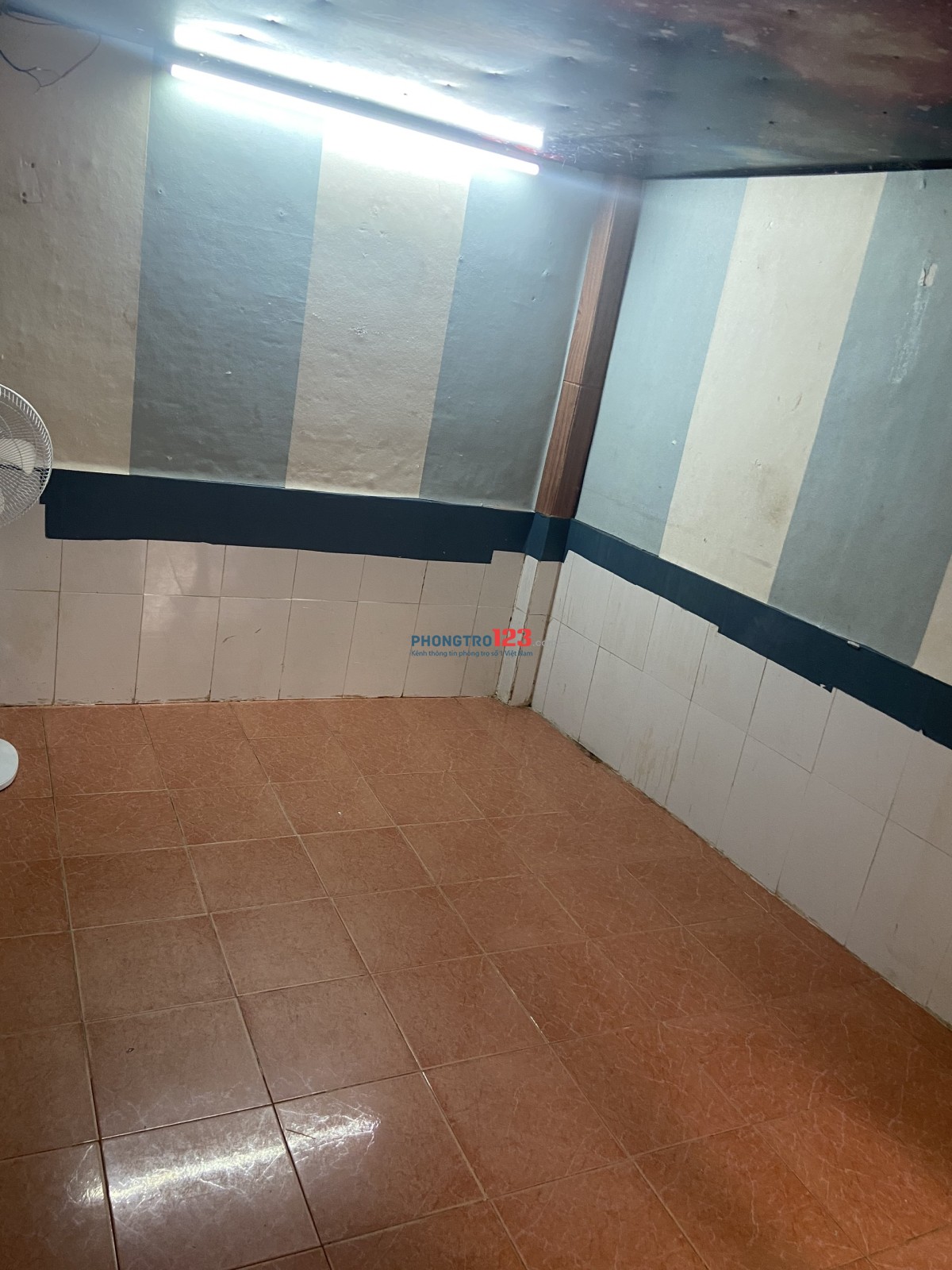 CHO THUÊ PHÒNG TRỌ ĐƯỜNG NGÔ ĐỨC KẾ CÓ GÁC – SÂN TRƯỚC RỘNG RÃI – GẦN CO.OPMART CHU VĂN AN