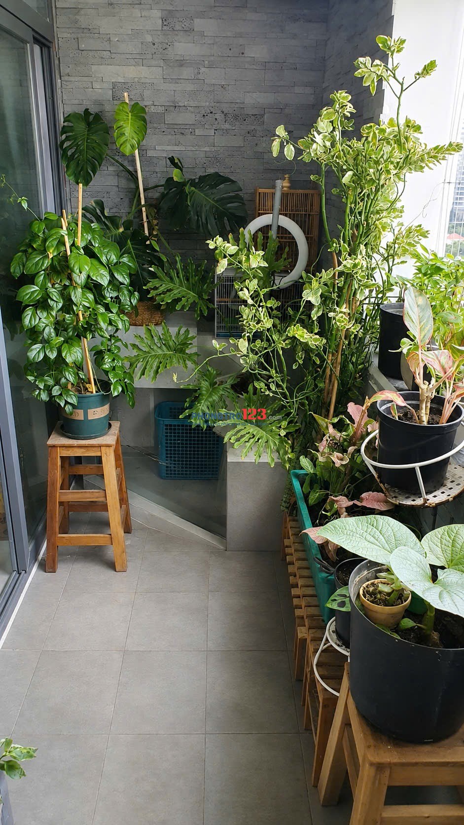 CHO THUÊ 1 PHÒNG STANDAR SIÊU THOÁNG TRONG CĂN HỘ 2PN – CC MỸ ĐỨC