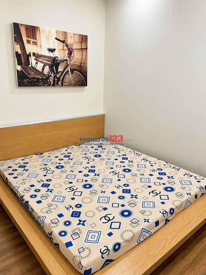 Cho thuê C/c Ruby Celadon Tân Phú giá 11tr/tháng- Đ/c: 36 Tân Thắng, Ph.Tân Sơn Nhì