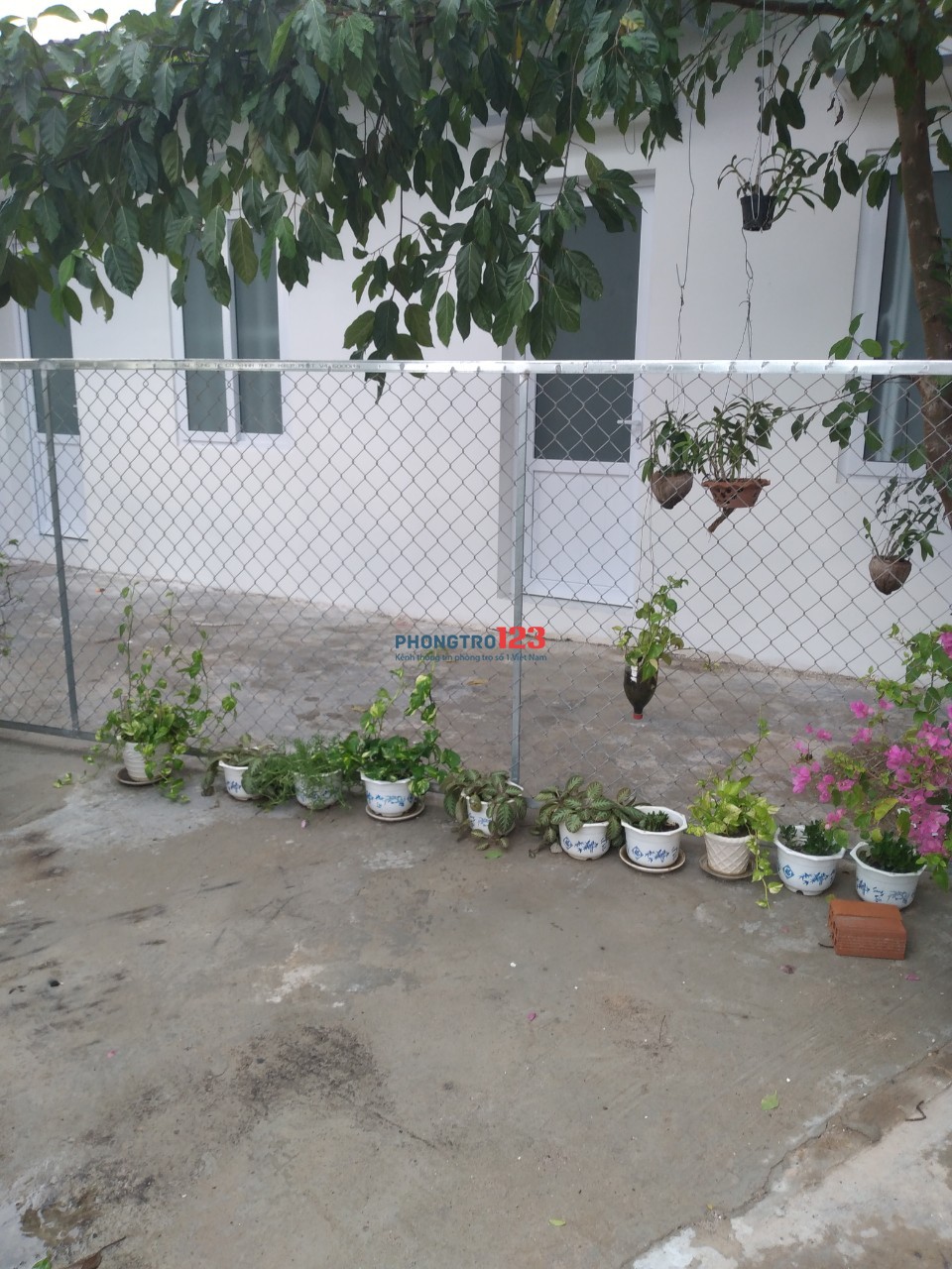 Phòng Trọ Sân vườn Phong Nẫm. gần Bệnh Viện tỉnh, khu công nghiệp Phan Thiết