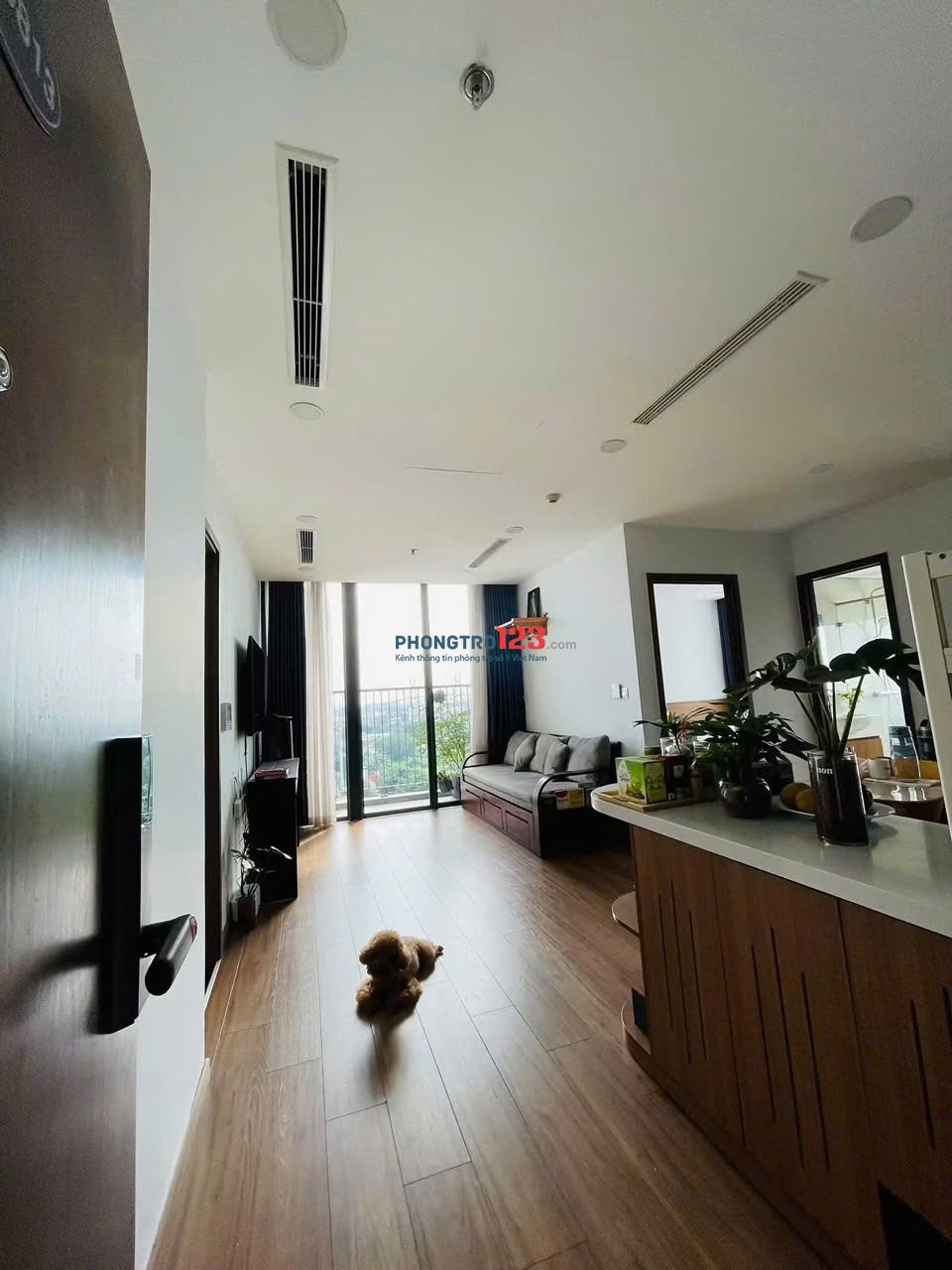 Chung cư CTL Tower, Tham Lương, Q12: 2p ngủ, Full NT mới, 10triệu