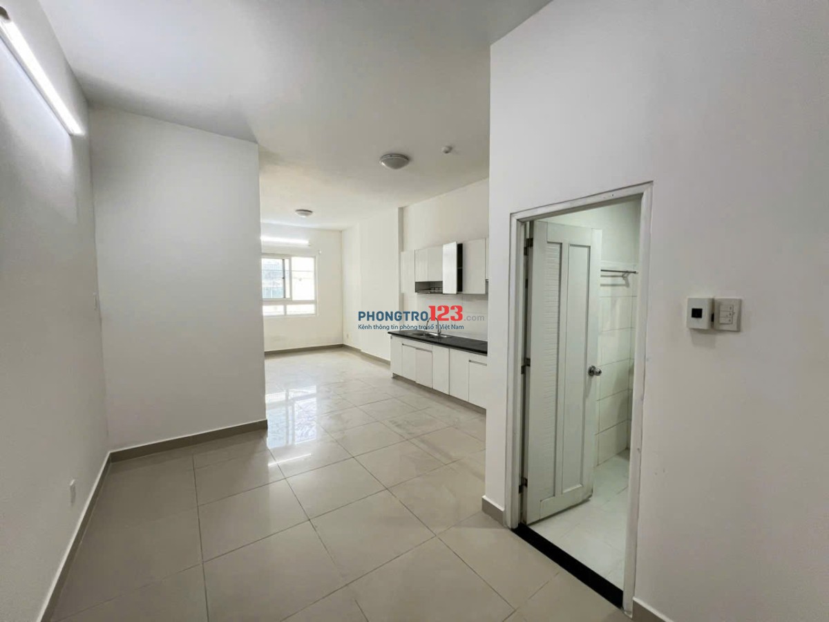 Cho thuê C/c Topaz Garden, 04 Trịnh Đình Thảo - Căn 2PN giá thuê 8tr5