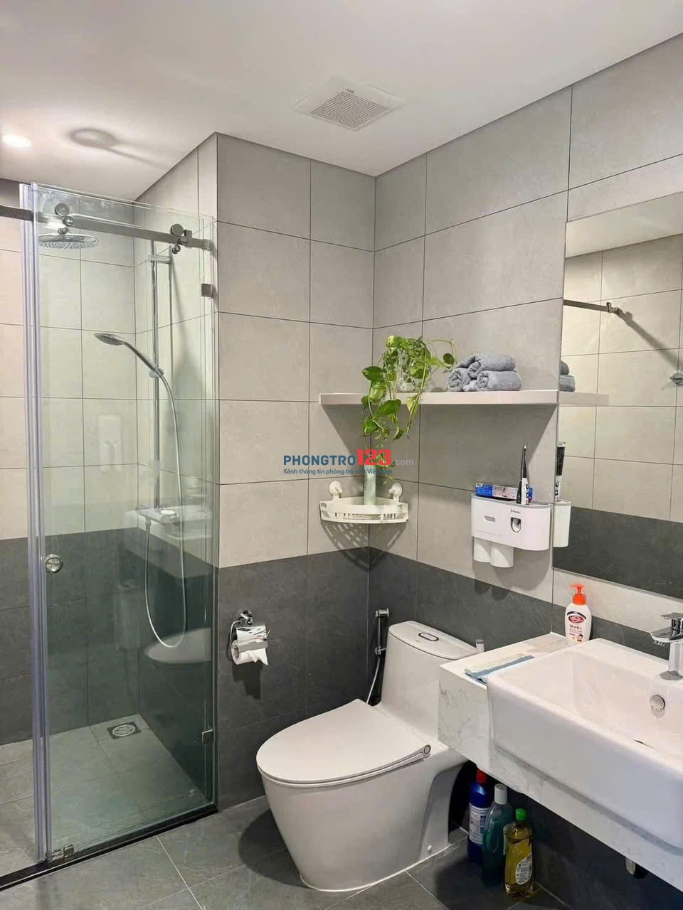 Chung cư Nguyễn Siêu, Q1: Full NT, nhà mới, 80m2, 15triệu