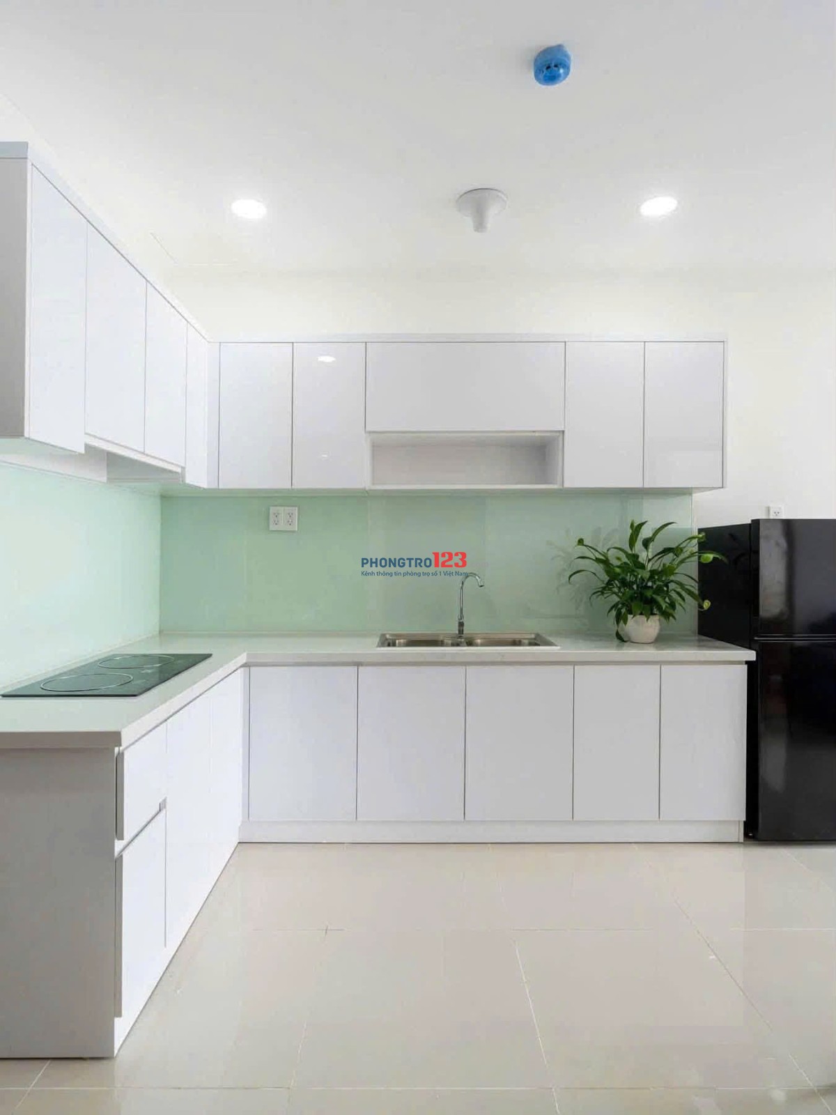 Lữ Gia Plaza- 120m2 căn góc 3PN/ Sẵn Nội Thất ở nhóm 4-5ng 14tr/th